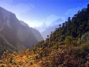 Bhutan Chilila Nature Trekking  » Click to zoom ->