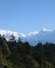 Darjeeling- Sandakphu Trekking