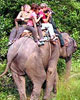 Jungle Safari in Chitwan National Park 