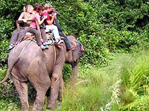 Jungle Safari in Chitwan National Park   » Click to zoom ->